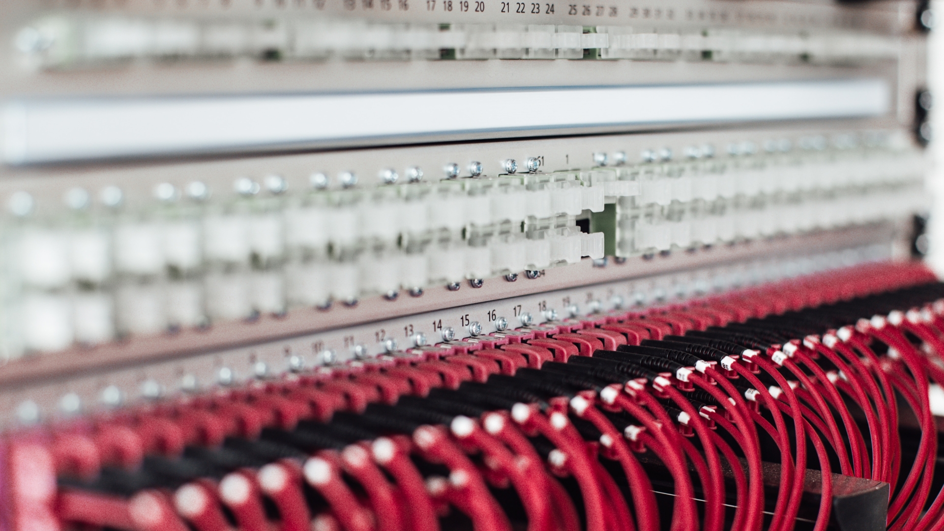 KTBBW_24_KI-Mitbestimmung - University of Labour Verschiedene rote Kabel laufen aus der Rückseite eines Servers