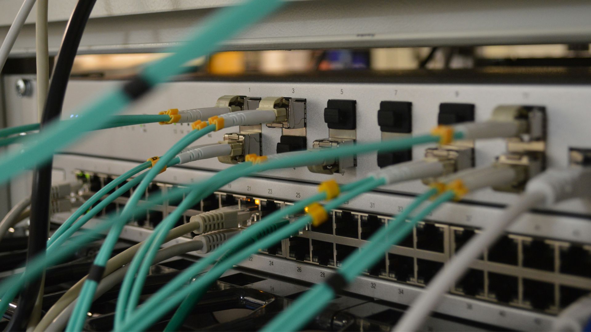 Verschiedene Daten-Kabel führe in die Rückseite eines Servers