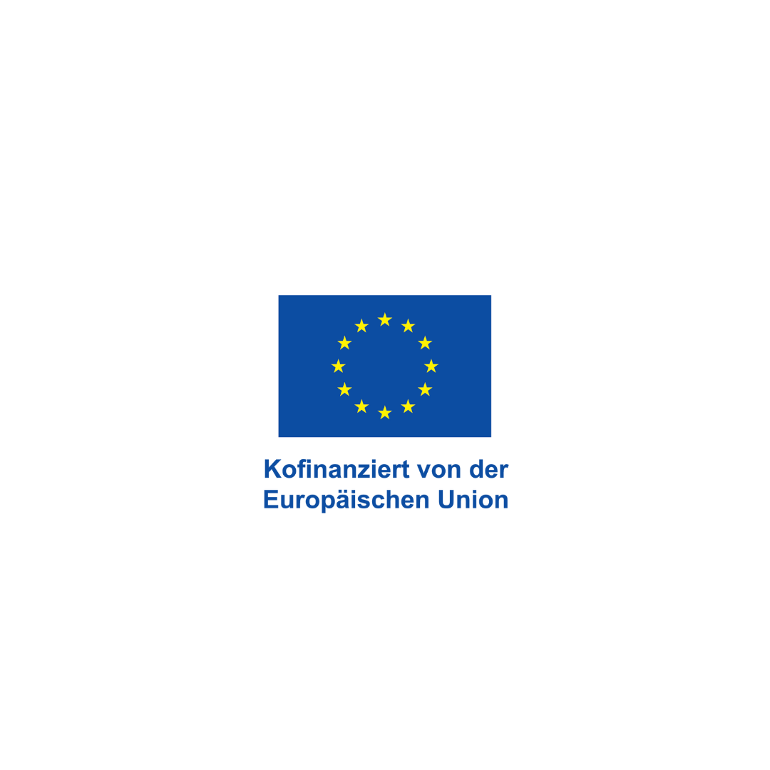 Logo der Europäischen Union mit 12 gelben Sternen auf blauem Hintergrund und dem Text